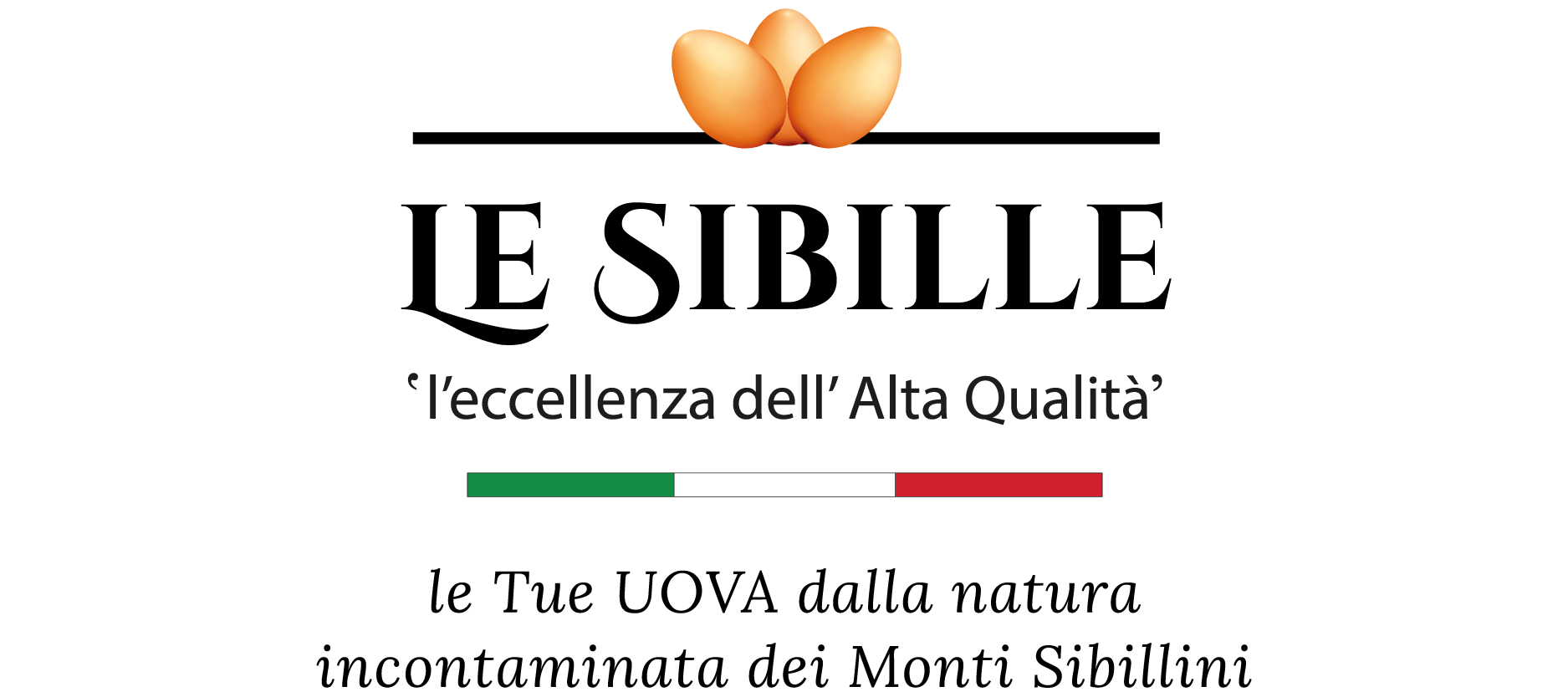 Beta Multiservice